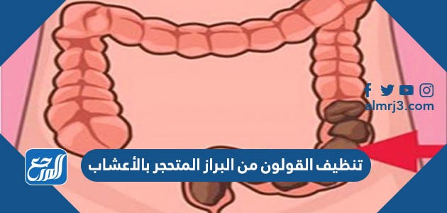 تنظيف القولون من البراز المتحجر بالأعشاب