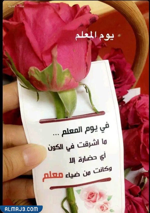 توزيعات ورد ليوم المعلم