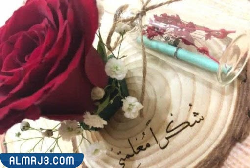 توزيعات ورد ليوم المعلم