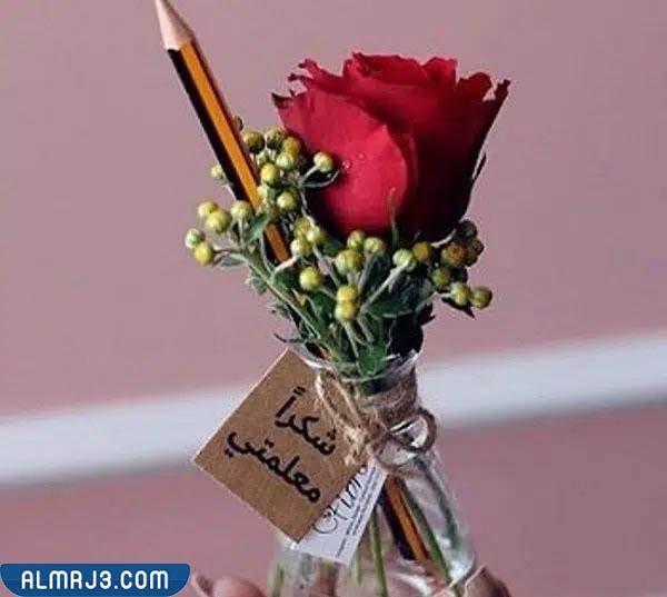 توزيعات ورد ليوم المعلم