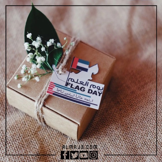 توزيعات يوم العلم الإماراتي