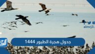 جدول هجرة الطيور 1444 مواعيد هجرة الطيور 2023