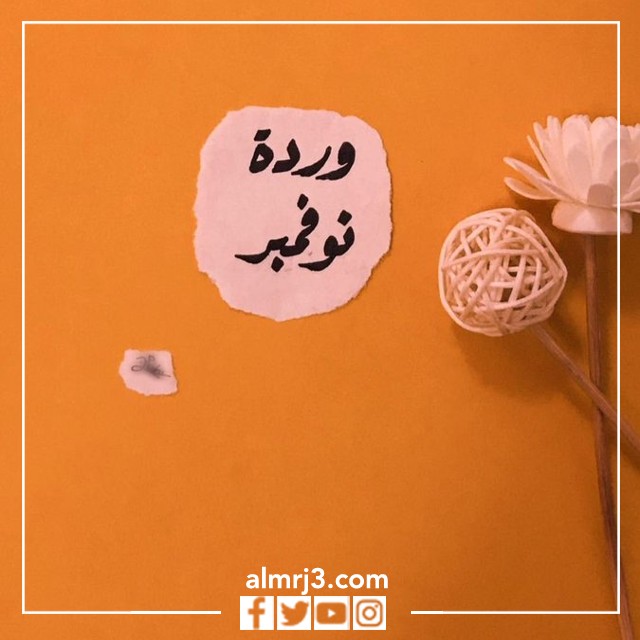 جميلة نوفمبر بالصور