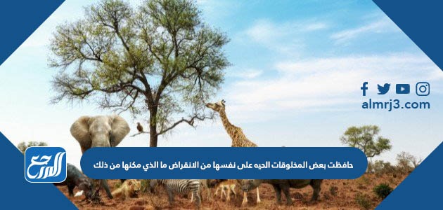 حافظت بعض المخلوقات الحيه على نفسها من الانقراض ما الذي مكنها من ذلك