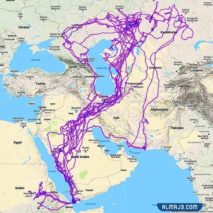 خريطة هجرة طيور العقبان والصقور في السعودية