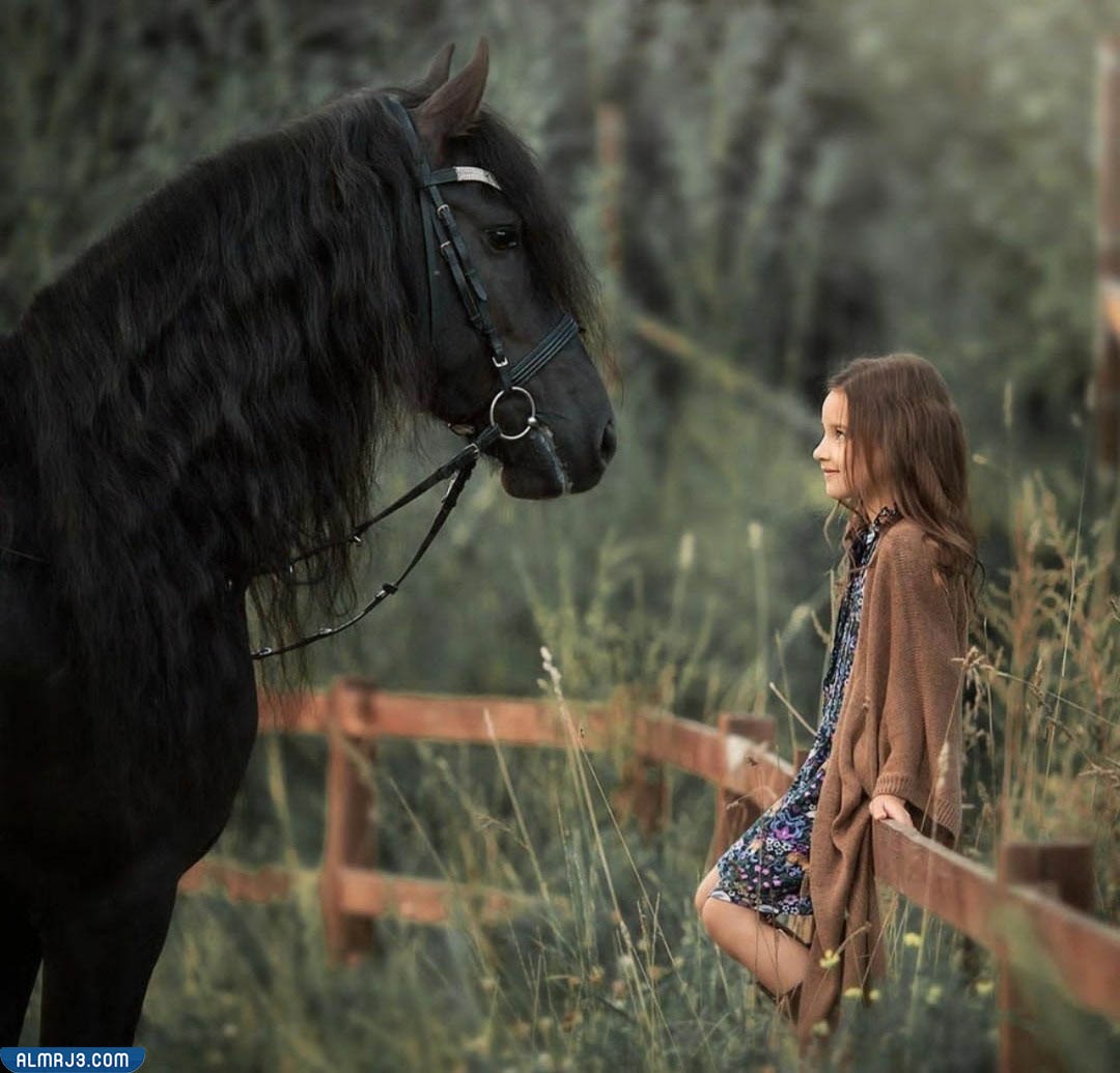 خلفيات خيول مع بنات