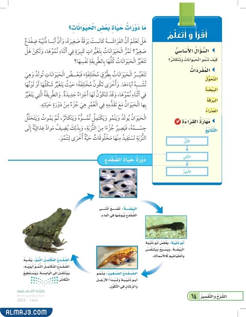 دورات حياة الحيوانات الصف الثالث الابتدائي الفصل الدراسي الأول