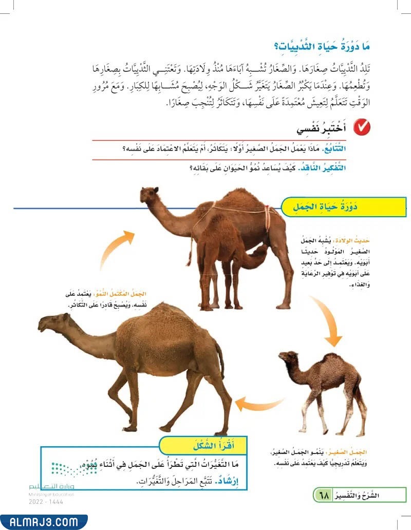 دورات حياة الحيوانات الصف الثالث الابتدائي الفصل الدراسي الأول