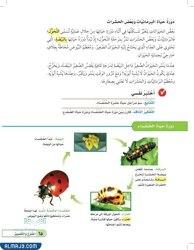 دورة حياة الحيوانات مطويات