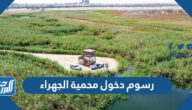كم رسوم دخول محمية الجهراء في الكويت