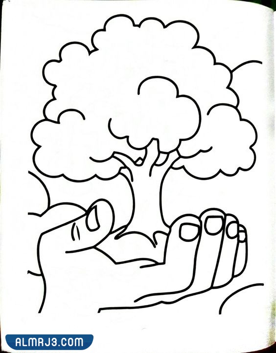 رسومات بسيطة عن البيئة