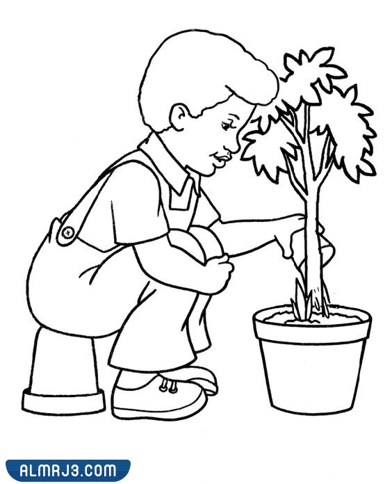 رسومات عن المحافظة على البيئة