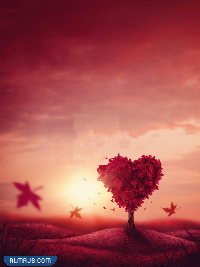 رمزيات معبرة عن الحب بدون كتابة
