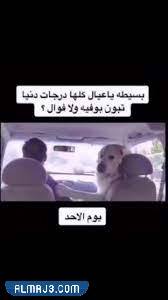 رياكشن اختبارات مميزة جدا