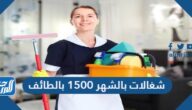شغالات بالشهر 1500 بالطائف