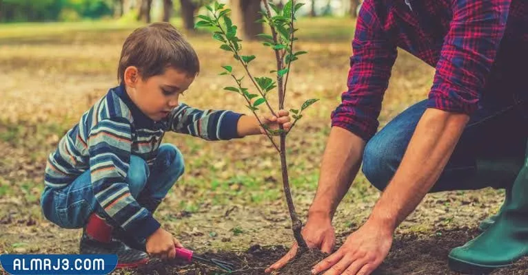 صور أفكار ليوم التخضير في الكويت 2022