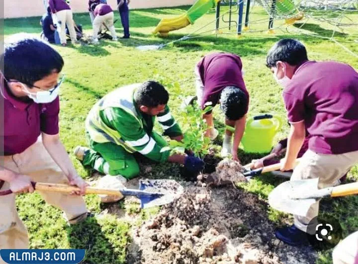 صور أفكار ليوم التخضير في الكويت 2022