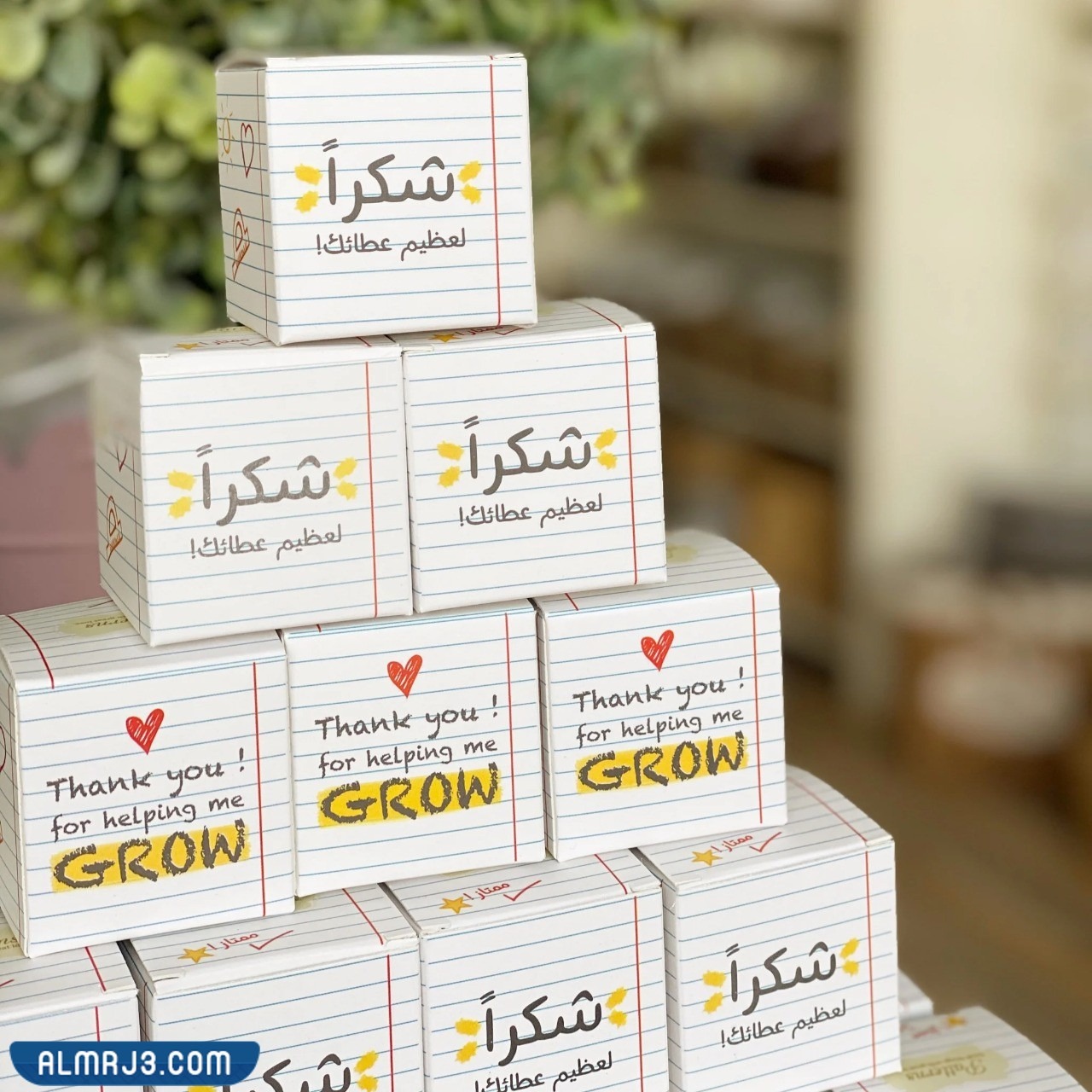 صور توزيعات ليوم المعلم 2022