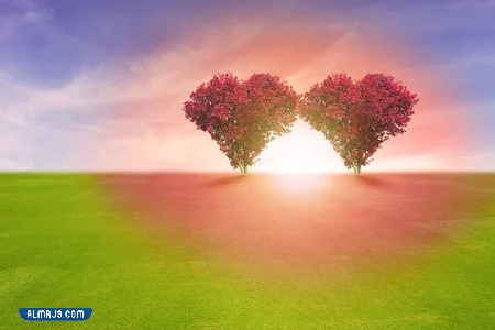 صور جميلة عن الحب 2023