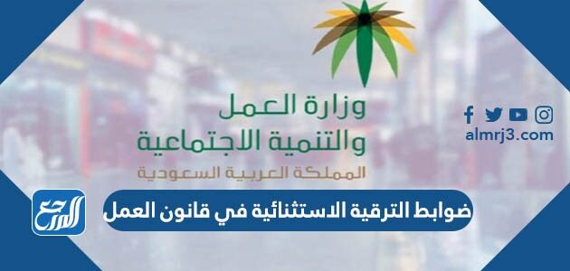 ما هى شروط وضوابط الترقية الاستثنائية في قانون العمل 1448