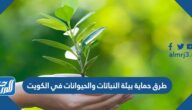 طرق حماية بيئة النباتات والحيوانات في الكويت