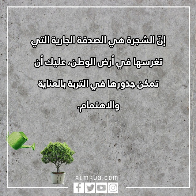 صور وعبارات عن يوم الشجرة في عمان 2022