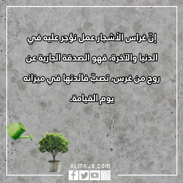 صور وعبارات عن يوم الشجرة في عمان 2022