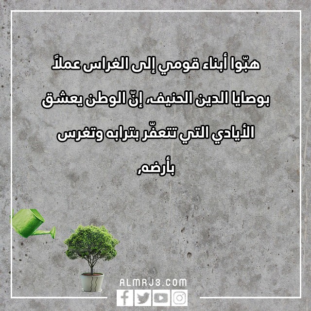 صور وعـبارات عَن يَوم الشّجرة في عُمان 2022