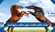عبارات للخيل خلفيات خيول مكتوب عليها شعر
