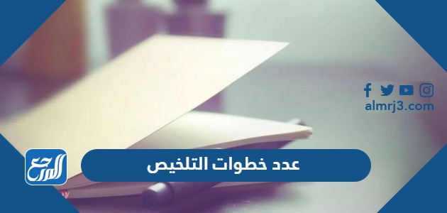 عدد خطوات التلخيص