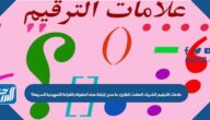 علامات الترقيم الشريك الصامت للقارئ. ما مدى ارتباط هذه المقولة بالقراءة التمهيدية السريعة؟