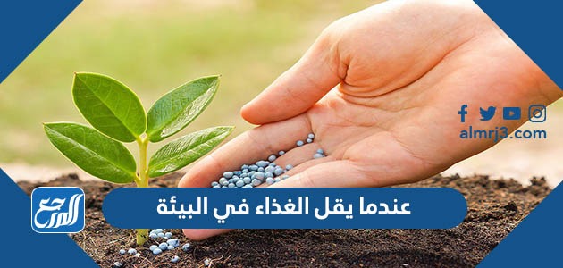 عندما يقل الغذاء في البيئة