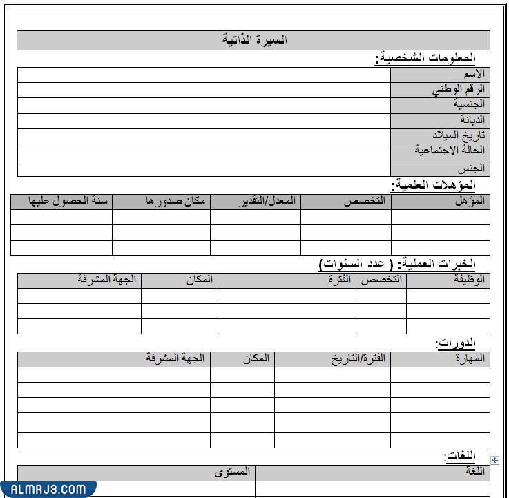 فارغ وجاهز نموذج سيرة ذاتية جاهز للتعبئة 2