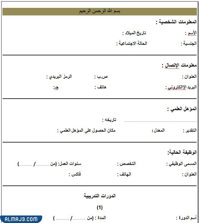 فارغ وجاهز نموذج سيرة ذاتية جاهز للتعبئة 4