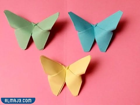 فراشات ملونة