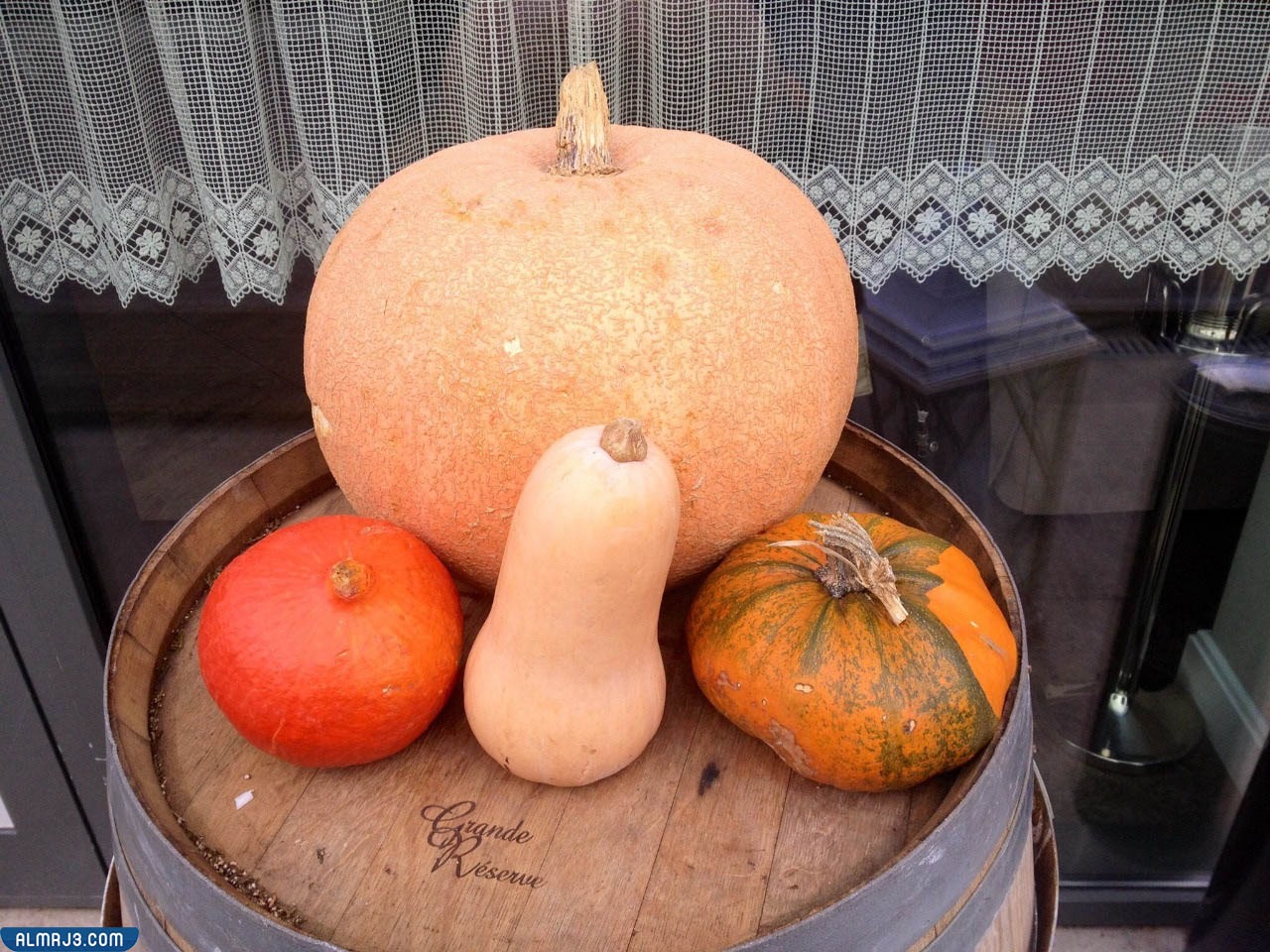 صور تجمع بين اليقطين والقرع