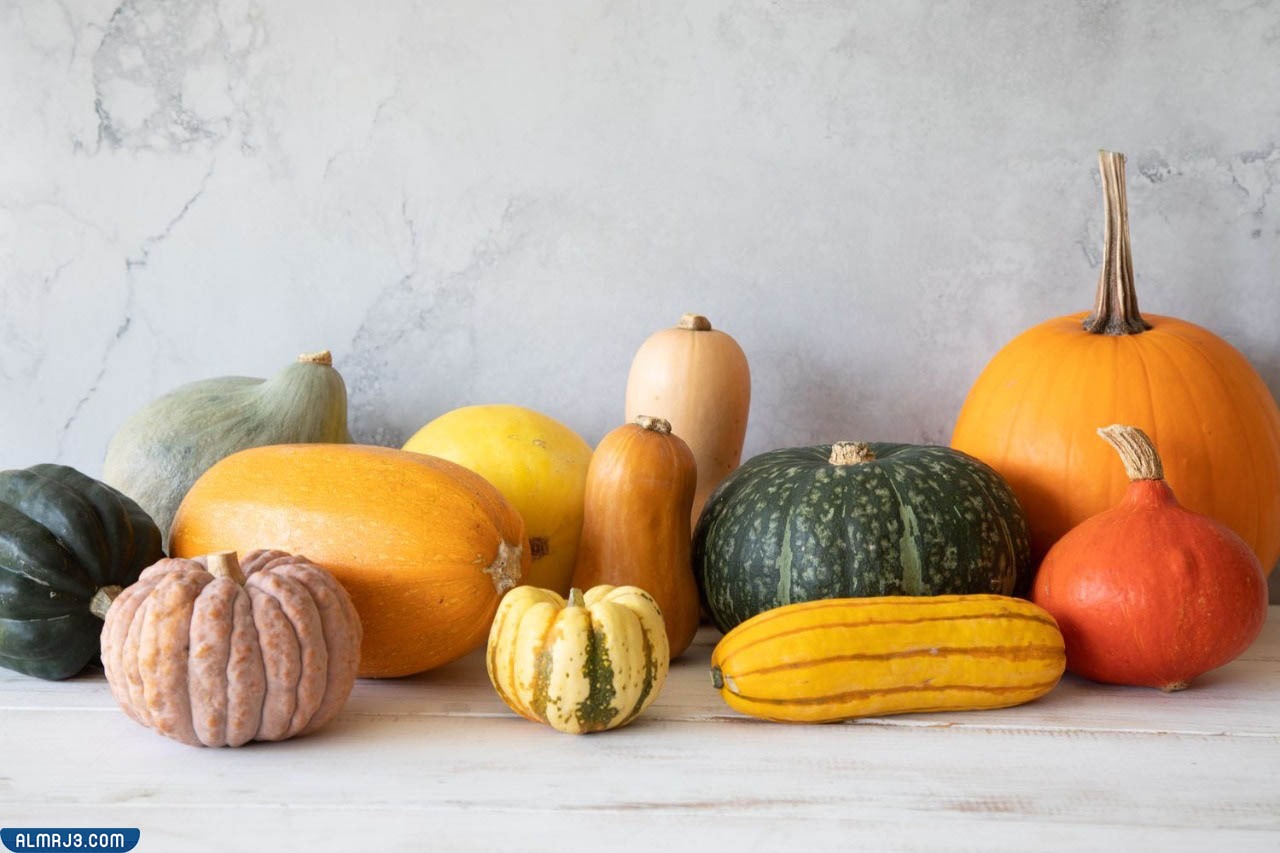 صور تجمع بين اليقطين والقرع