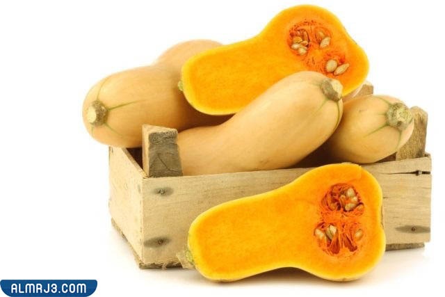 ما الفرق بين القرع واليقطين