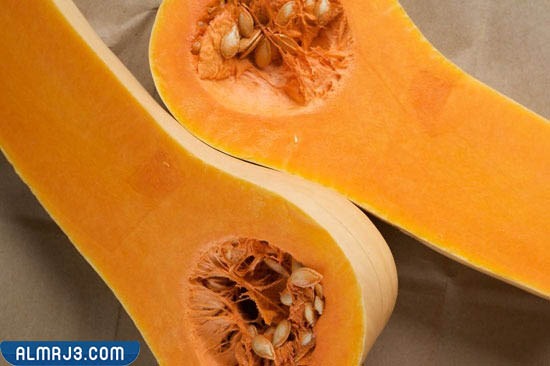 ما الفرق بين القرع واليقطين