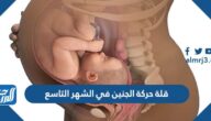قلة حركة الجنين في الشهر التاسع تجاربكم