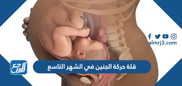 قلة حركة الجنين في الشهر التاسع