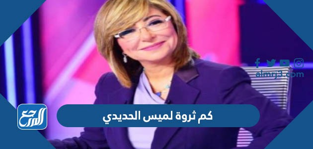 كم ثروة لميس الحديدي