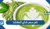 كم سعر شاي الماتشا في السعودية