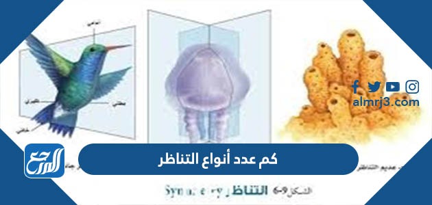 كم عدد أنواع التناظر