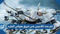 كم عدد اللاعبين في فريق هوكي الجليد