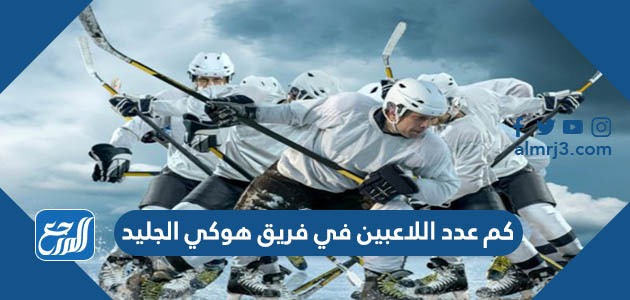 كم عدد اللاعبين في فريق هوكي الجليد