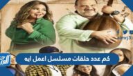 كم عدد حلقات مسلسل اعمل ايه