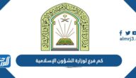 كم فرع لوزارة الشؤون الإسلامية