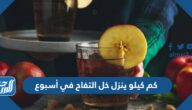 كم كيلو ينزل خل التفاح في أسبوع