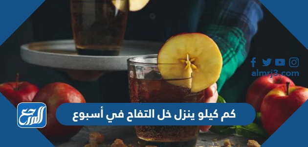 كم كيلو ينزل خل التفاح في أسبوع